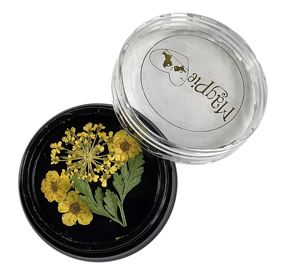 Yellow Dried Flowers